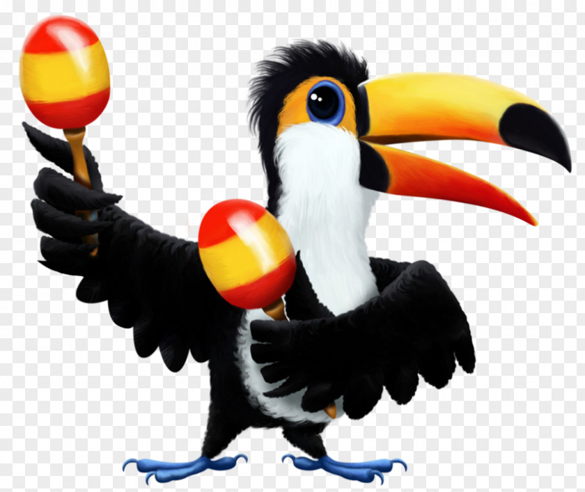 Bird Toucan Birds And People Parrot House Sparrow PNG