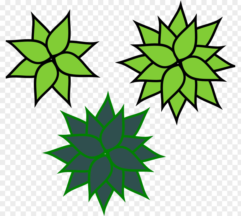 Centuryplant Clip Art PNG