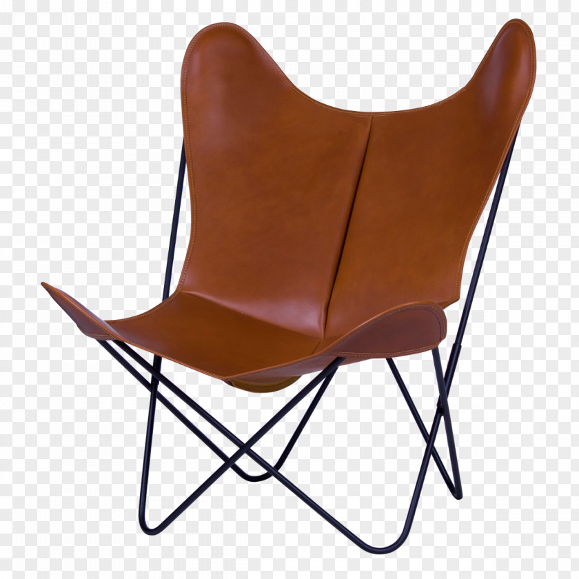 Chair Butterfly Furniture Fauteuil Lift PNG