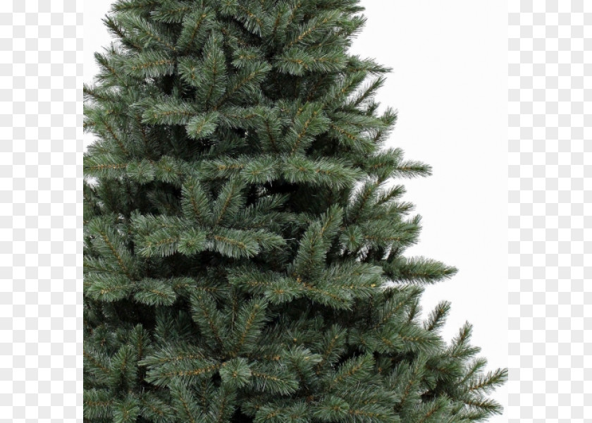 Christmas Tree Artificial Blue PNG
