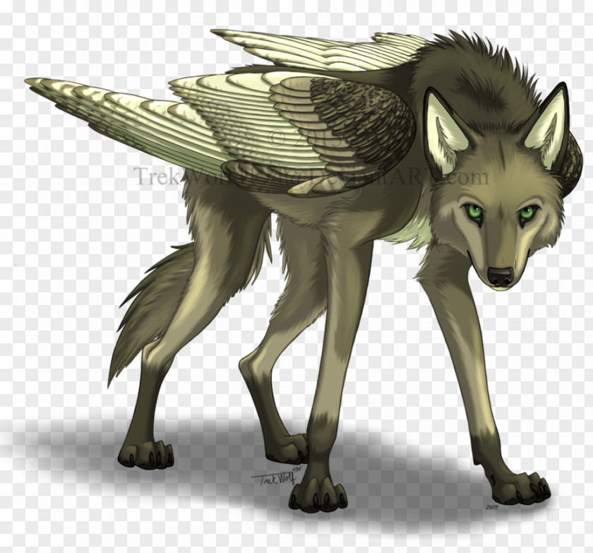 Express Little Brother Gray Wolf Red Jackal Snout Wildlife PNG