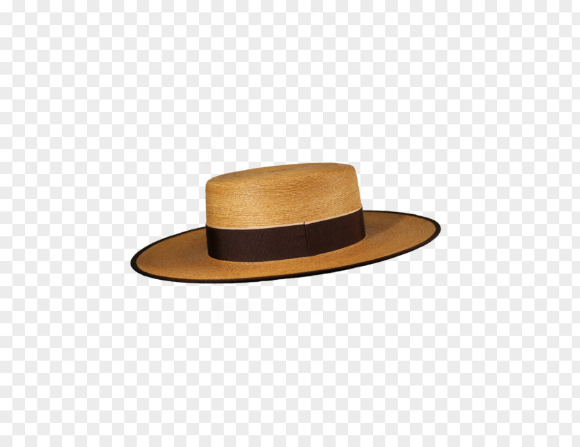 Hat Panama Sombrero Ala Ancha Gris Lining Jacket PNG