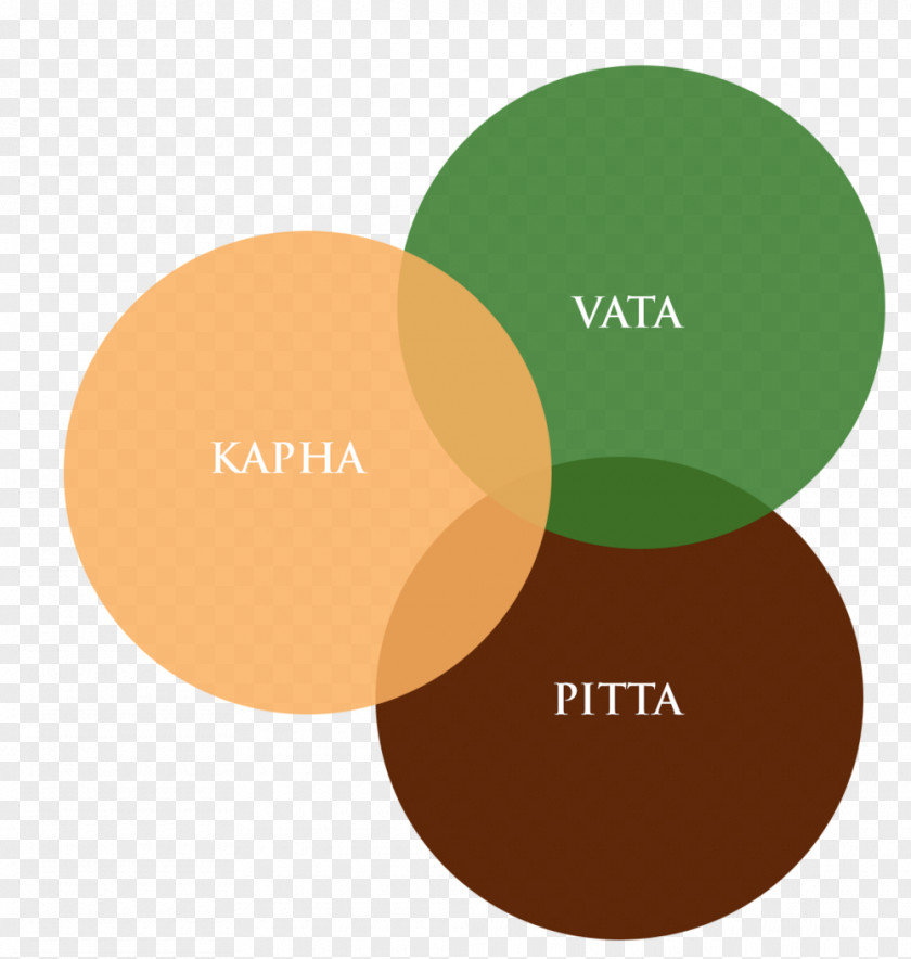 History Teacher Requirements Ayurveda Logo Brand Product Design PNG