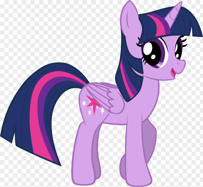 Sparkle Vector Twilight Pony Pinkie Pie Rainbow Dash Winged Unicorn PNG