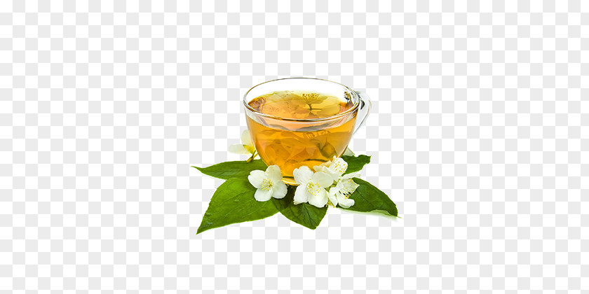 Tea Flowering Green Jasmine Herbal PNG