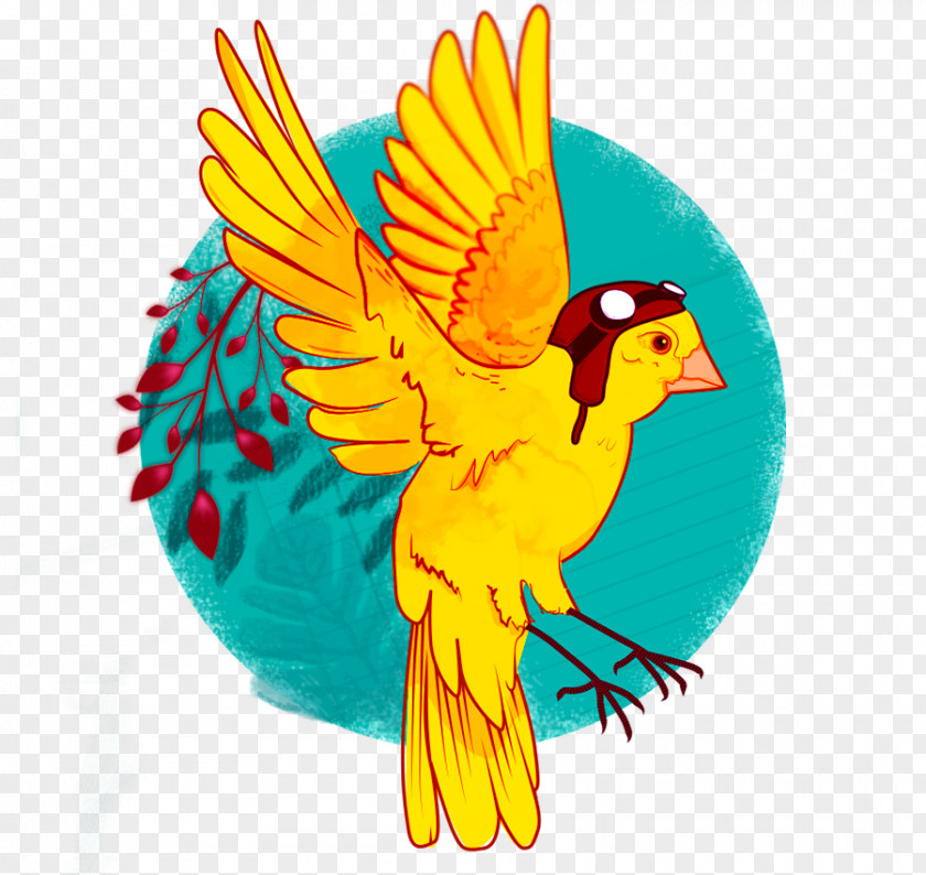 Feather Macaw Beak Parakeet Wing PNG