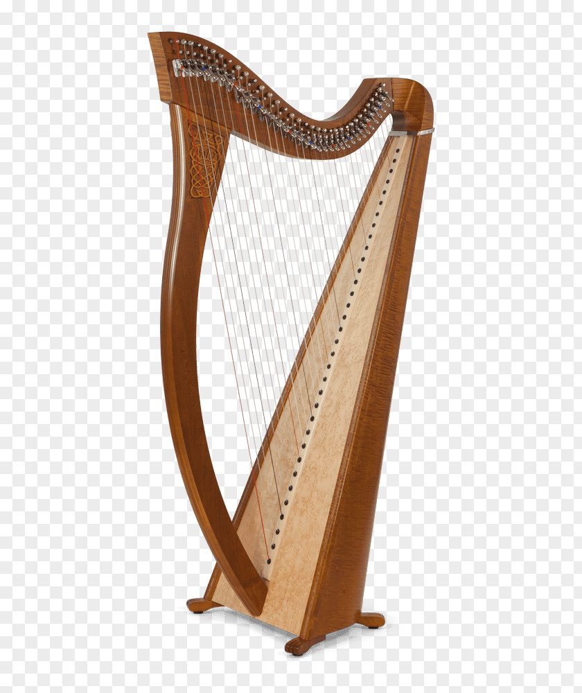 Harp Paraguayan Musical Instruments String PNG