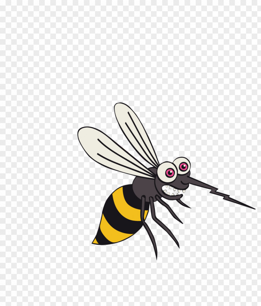 Mosquito Picture Cartoon Icon PNG