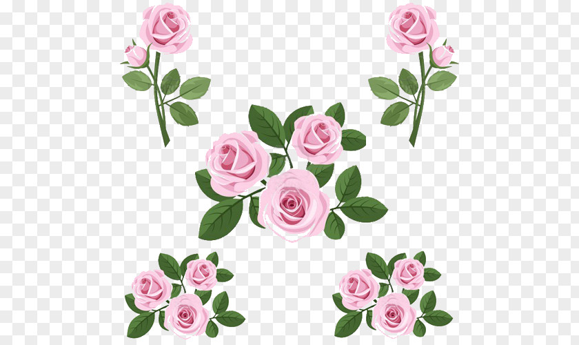 Nail Garden Roses Art Cabbage Rose PNG