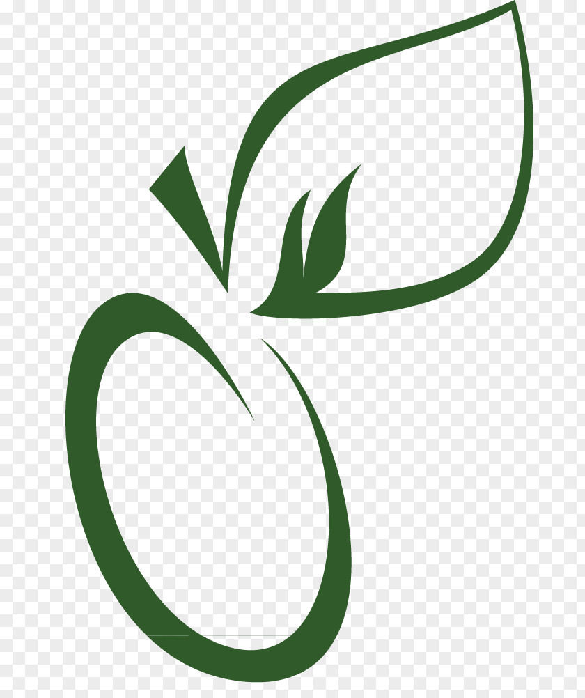 Olive Oil Logo Leaf Green Plant Stem Flower Clip Art PNG
