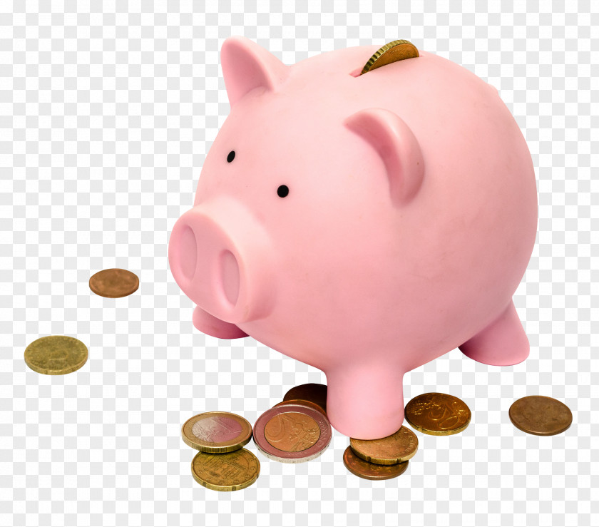 Piggy Bank Money PNG