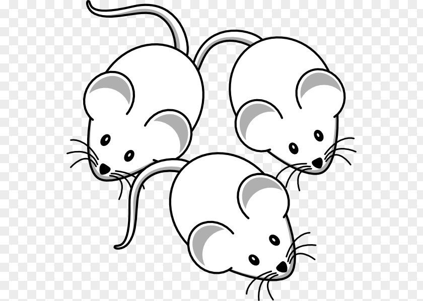 Rat Mouse Clip Art PNG