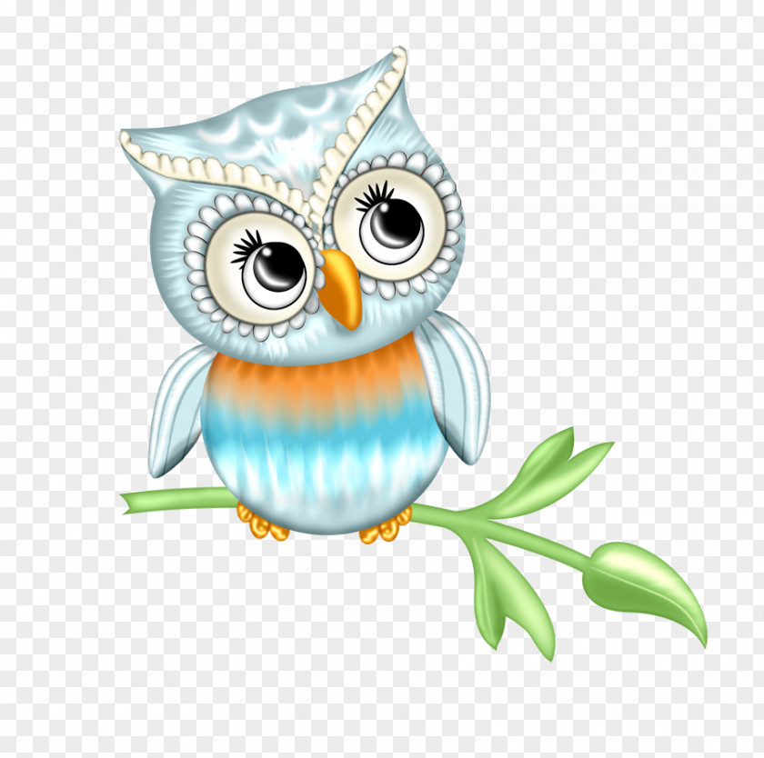 Cute Owl Little Bird Barn PNG