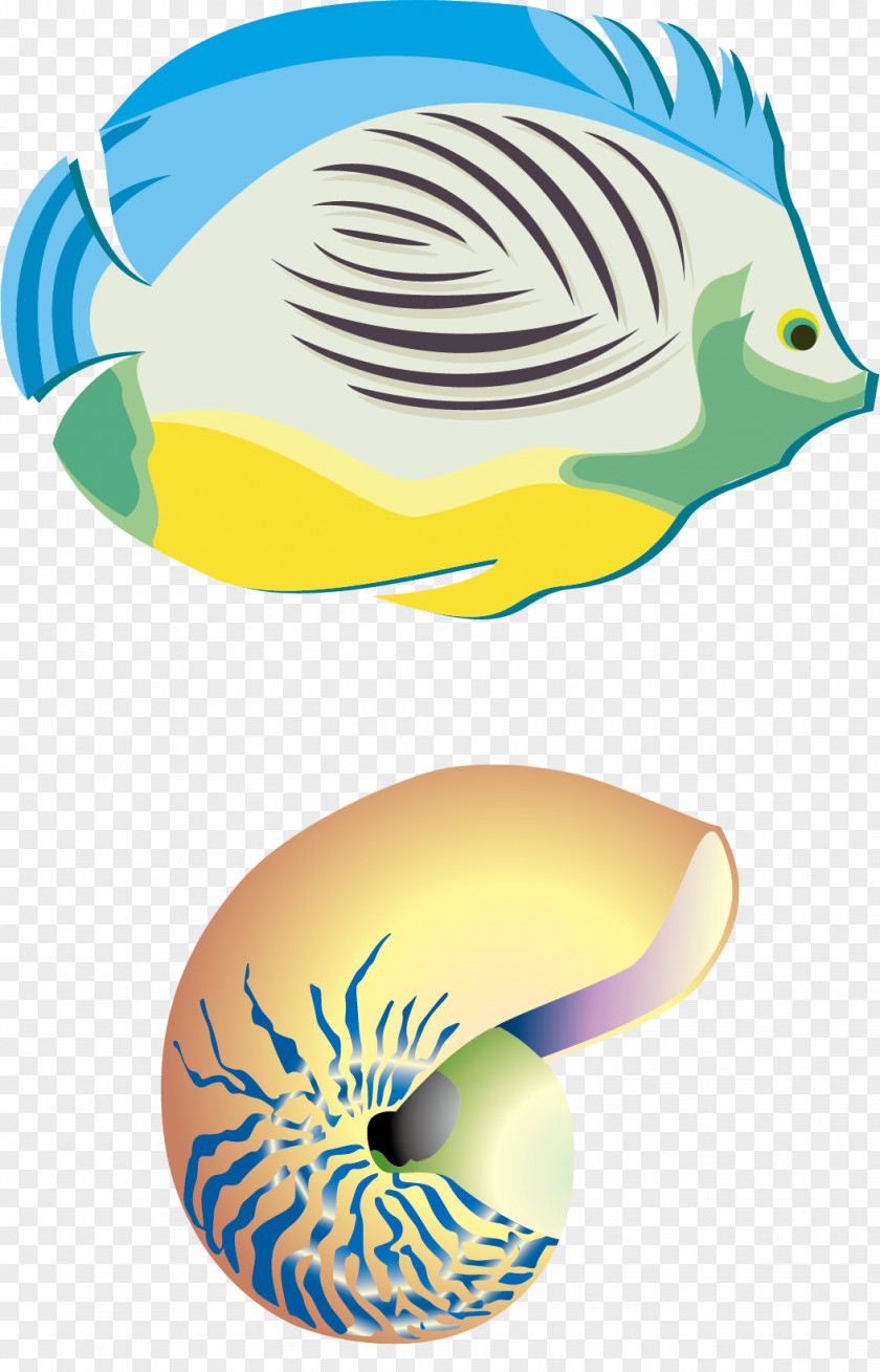 Cartoon Fish Material Picture Poster Photography PNG
