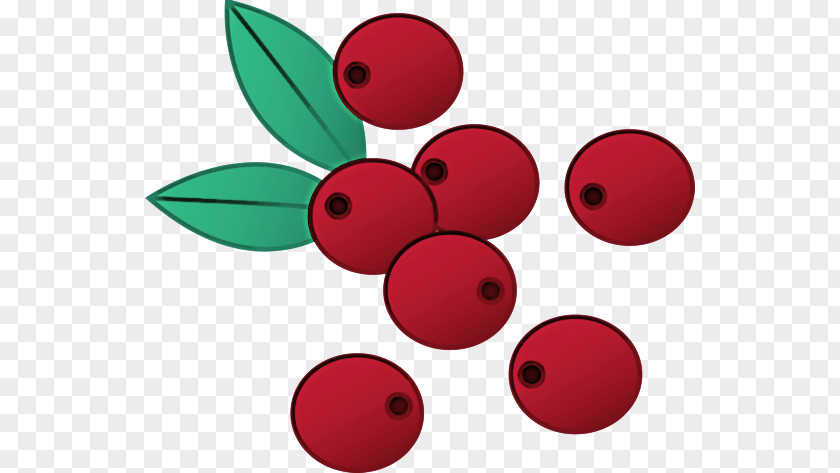 Red Line Fruit Mathematics Geometry PNG