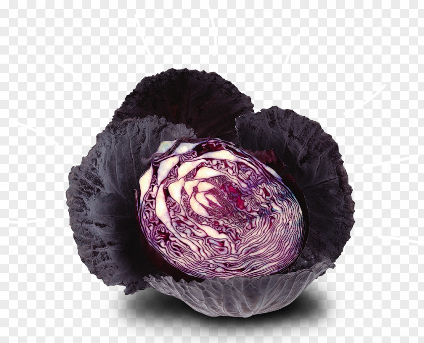 Vegetable Stamppot Red Cabbage Juice Kool-Aid PNG