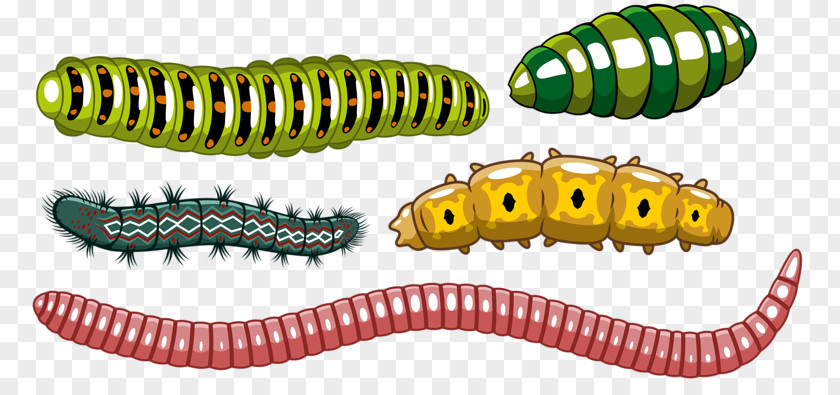 Insect World Worm Caterpillar Euclidean Vector PNG