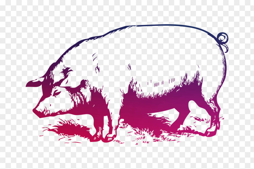 Large White Pig Vector Graphics Stock Illustration The Muddy PNG