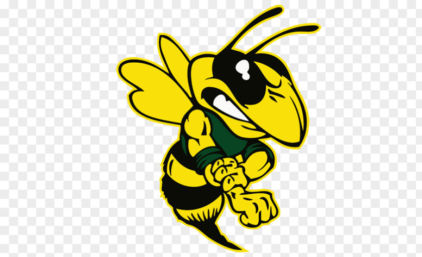 Multimedia Production Georgia Institute Of Technology Hornet Clip Art Yellowjacket Bee PNG