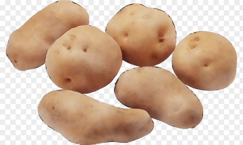 Nightshade Family Russet Burbank Potato Solanum Root Vegetable Food PNG