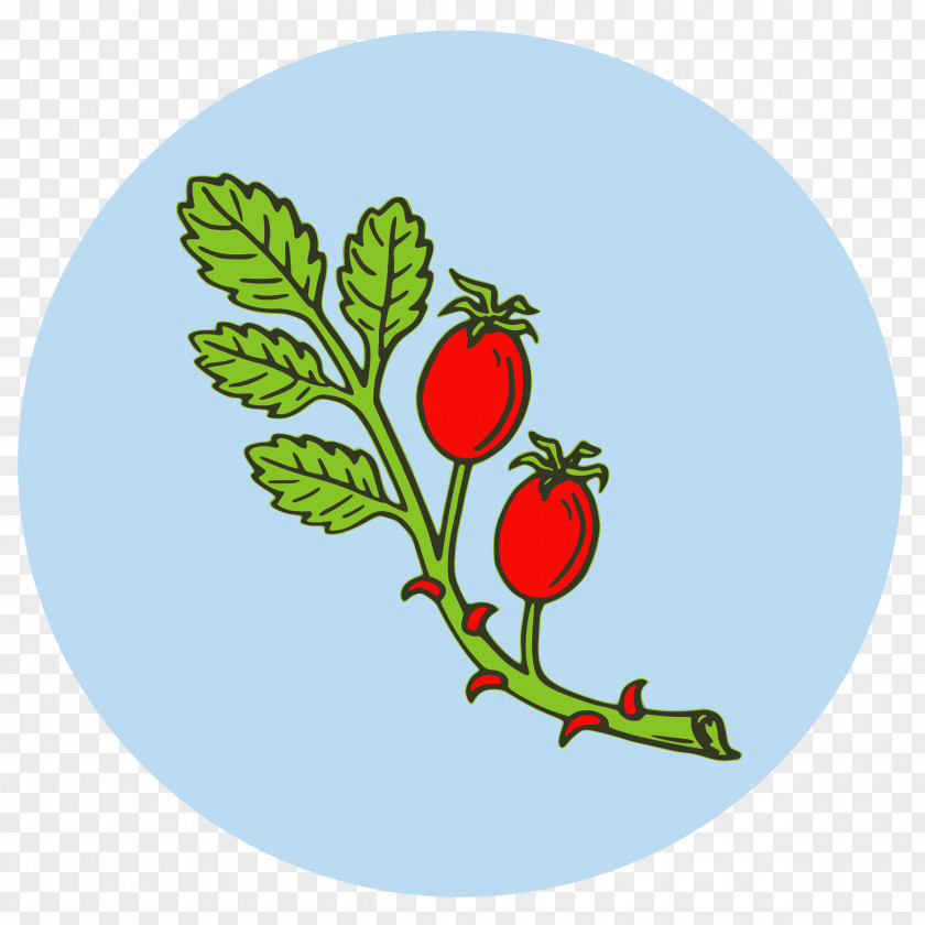 Pomegranate Rose Hip Tea Clip Art PNG