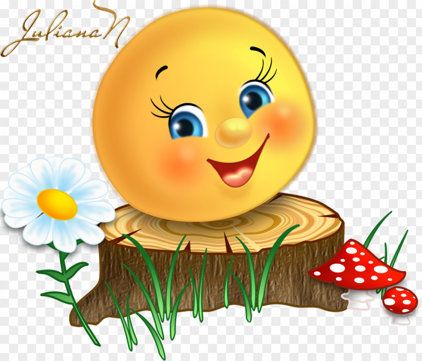 Smiley Emoticon Happiness Face Clip Art PNG