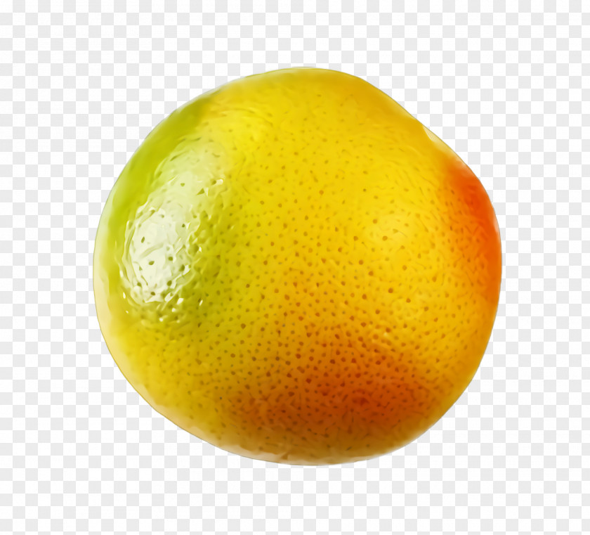 Citron Food Orange PNG