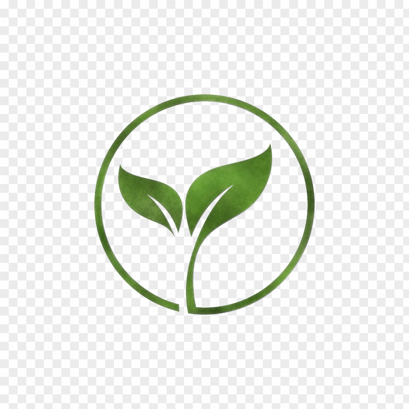 Logo Leaf Plant Stem Font Green PNG