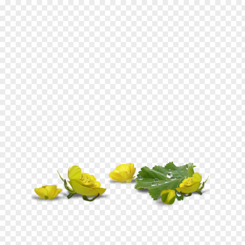 Spring Graphic Animation Good PNG