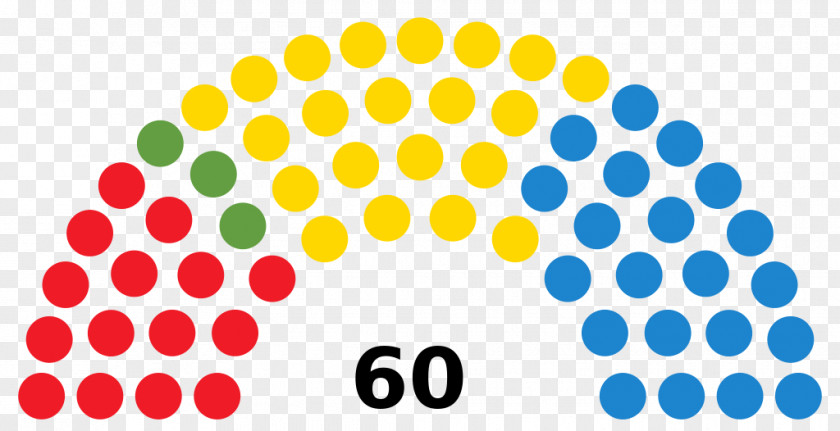 Canarias Seanad Éireann Legislature Senate Upper House Election PNG