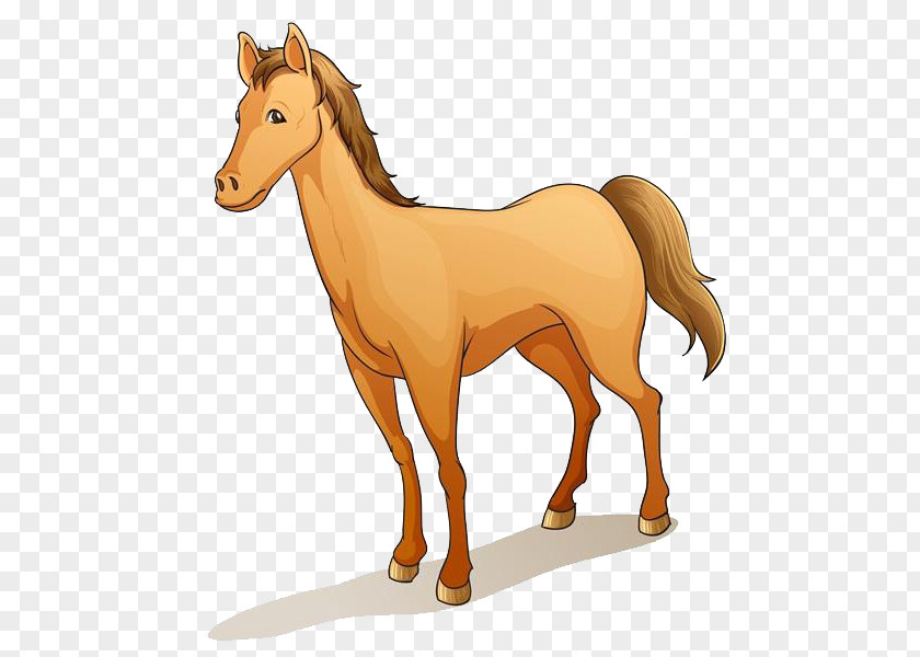 Cartoon Horse Material Barb Pony Royalty-free Clip Art PNG
