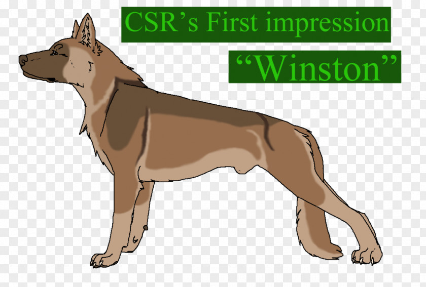 First Impression Dog Breed Snout Paw PNG