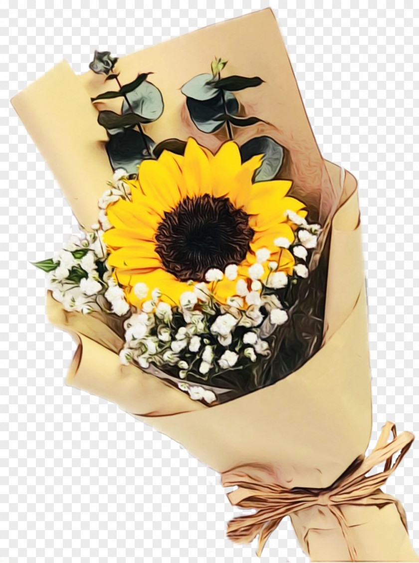Gerbera Petal Sunflower PNG