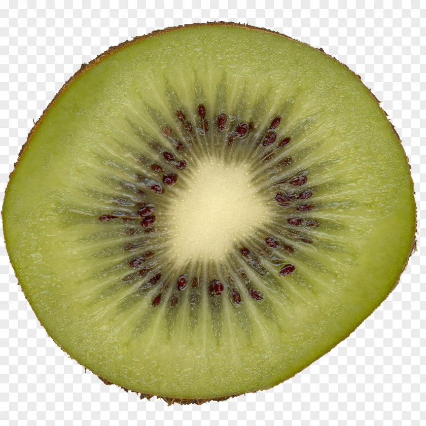 Kiwi Kiwifruit Slice Melon PNG