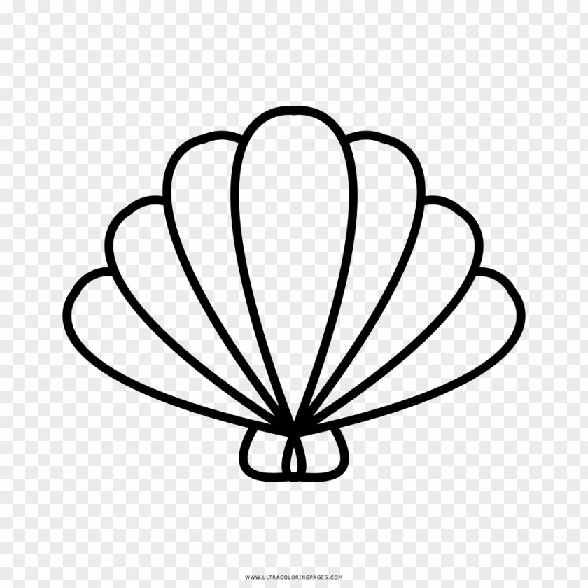 Seashell Logo Drawing PNG
