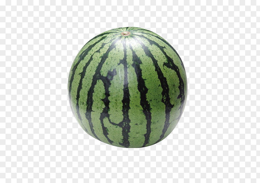 Watermelon Cantaloupe Citrullus Lanatus Fruit PNG