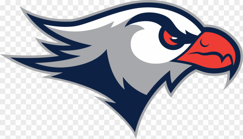 Bird Eagle Beak Logo PNG