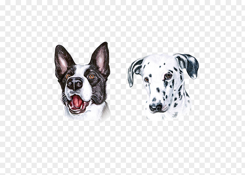 Cute Spotted Dog Painter Illustrator Painting Illustration PNG