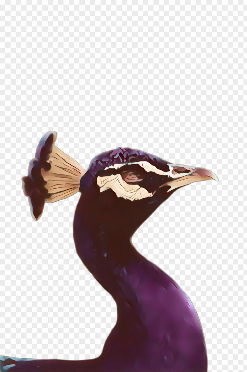 Ducks Geese And Swans Sculpture Purple Violet Bird Beak Duck PNG