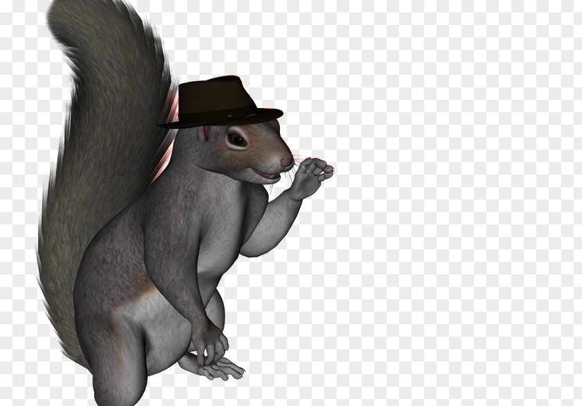 First April Poster Rodent Squirrel Mammal Animal Marsupial PNG