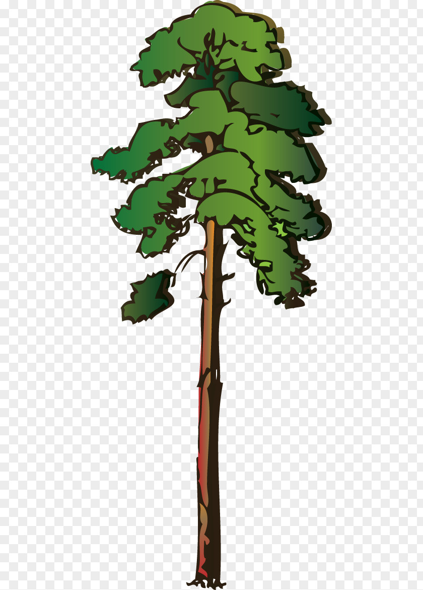 Free Tree Pictures Pine Clip Art PNG
