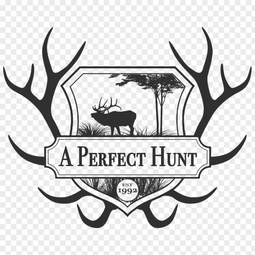 Hunting Elk White-tailed Deer Moose Antler PNG
