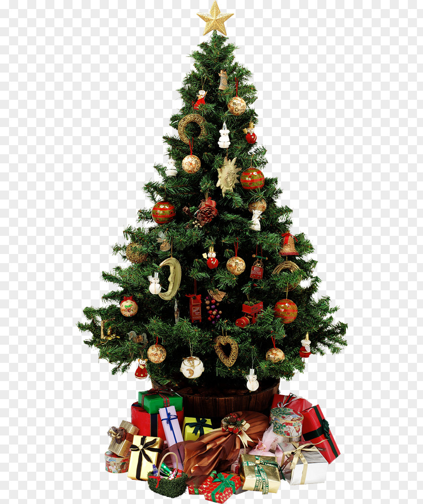 Nightclub Flyers Christmas Tree A Visit From St. Nicholas Gift Santa Claus PNG