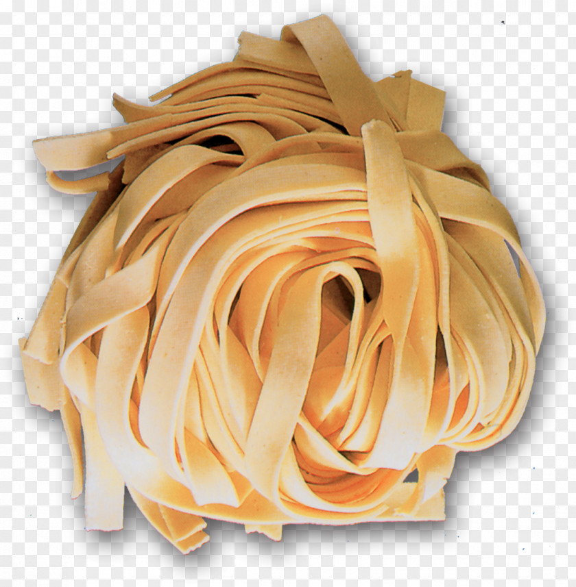 Noodles Lasagne Pasta Gnocchi Bolognese Sauce Taglierini PNG