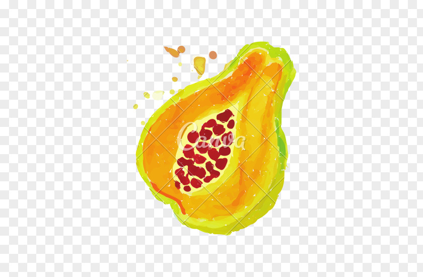 Watercolour Splash Green Papaya Salad Pawpaw Tropical Fruit PNG