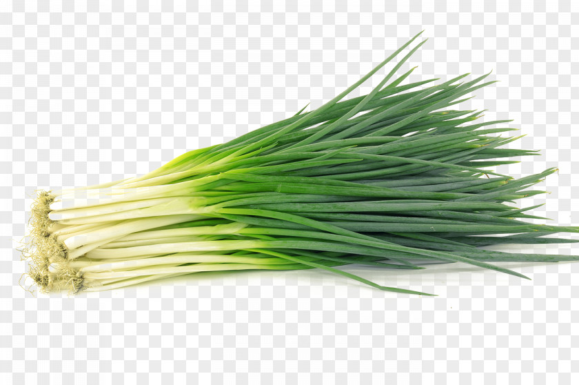 An Onion Vegetables Allium Fistulosum Garlic Chives Shallot Vegetable PNG