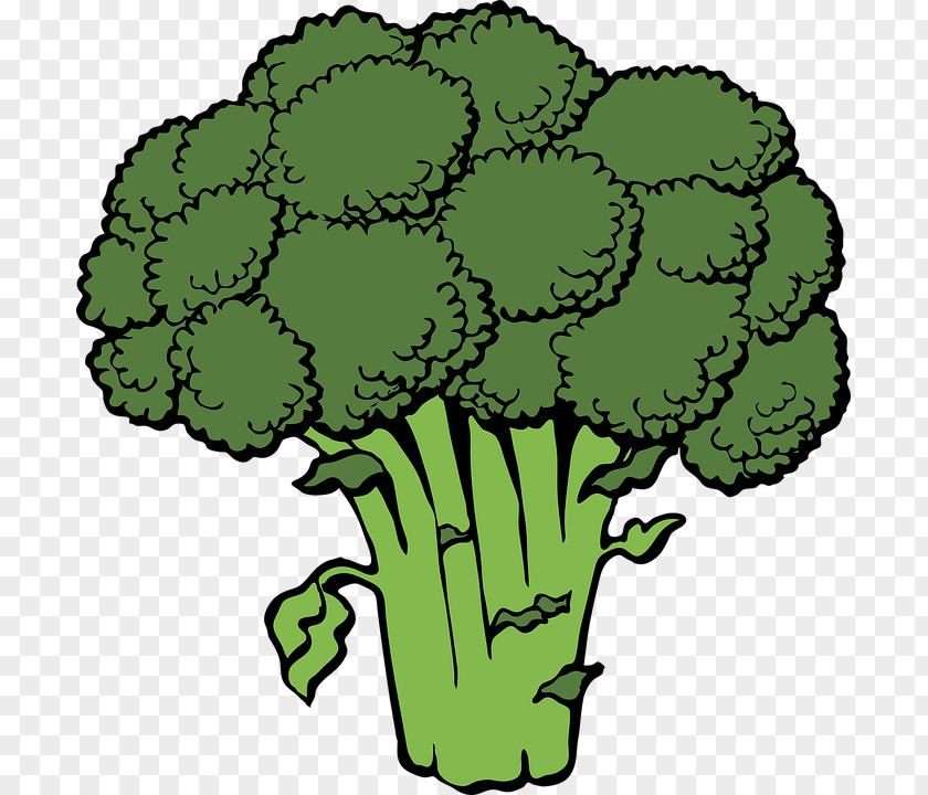 Cauliflower,vegetables,Green Broccoli Slaw Vegetable Clip Art PNG