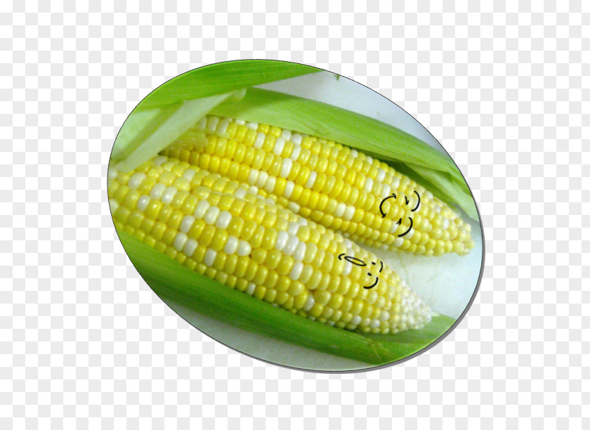 Corn On The Cob Commodity PNG