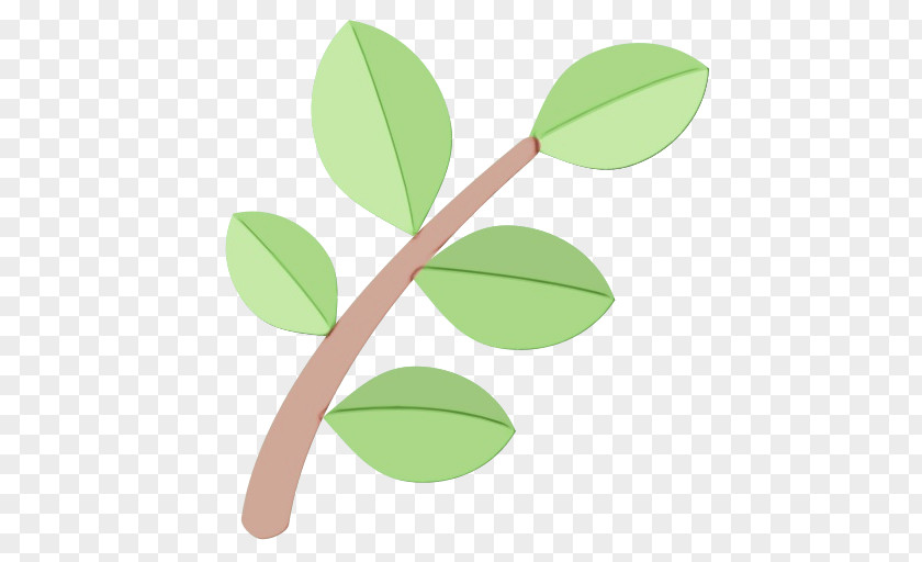 Twig Plant Stem Green Leaf Background PNG