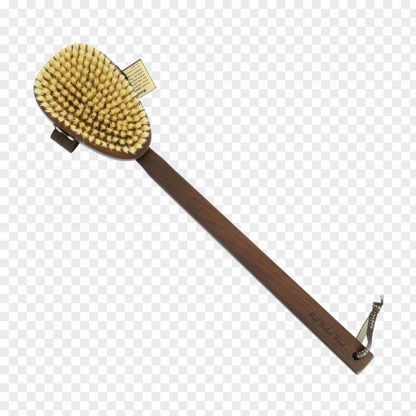 Walnut Brush Bristle English Sponge PNG